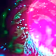 115543855825004991069233676876391598030512634182688088675694673486682896990209