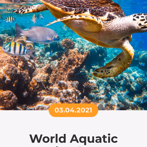 84967509520196306123188380026293221301468344843151761076076916436392023687169