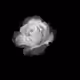 45202012325701923153089948621444955604563762048056153679214016424266845650945