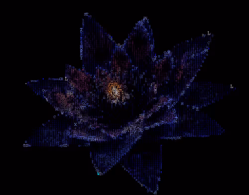 Item #73730562326191716881461757681999681561108071941178858700687942193482114793473 Media