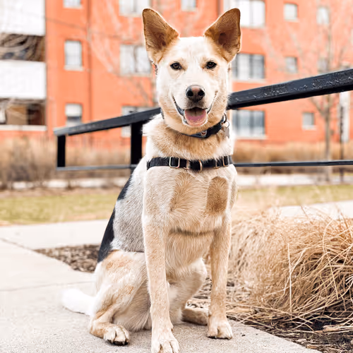 93545033271846001454118804230311667247513649279000342993662872583688180203620