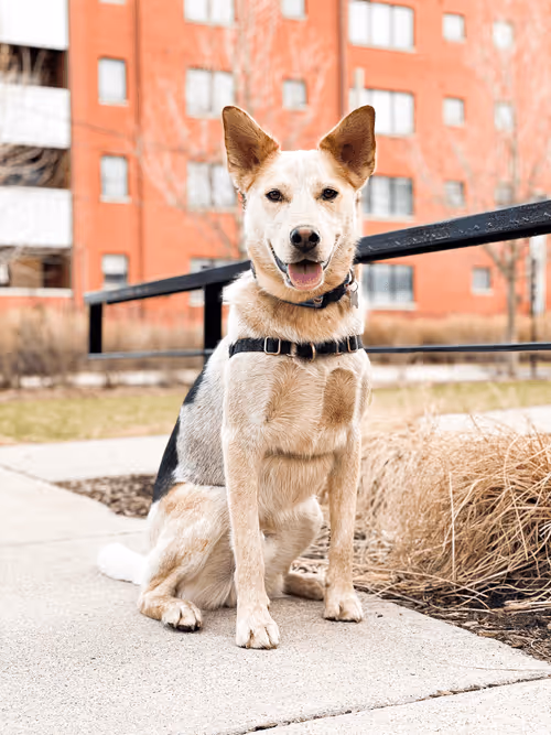 Item #93545033271846001454118804230311667247513649279000342993662872583688180203620 Media