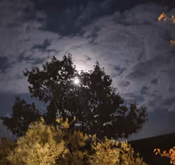 Beautiful Night