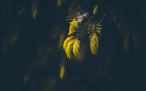 Item #9260538880738646448046418891529255088625136826813512017686583789617412046948 Media