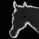 113343558288560084778584929442911278555901071831385505362975843327211298881537