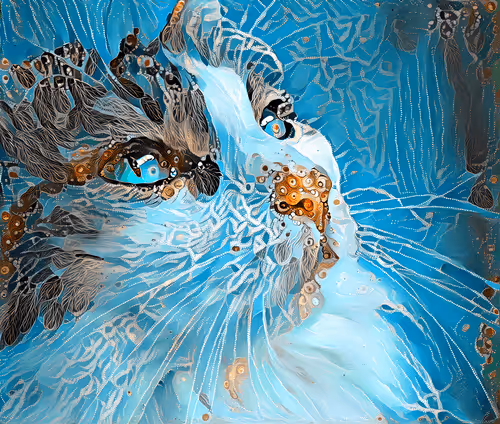 Item #108786381566137461279473531880826935659335452726224417028117049396076965003265 Media