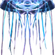 63211013100529833525454840660360054649628702037965273455681848612293726699521