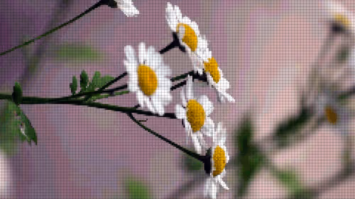 Item #75866091947728652238534111254584504918190435733442380629681527387834325925889 Media