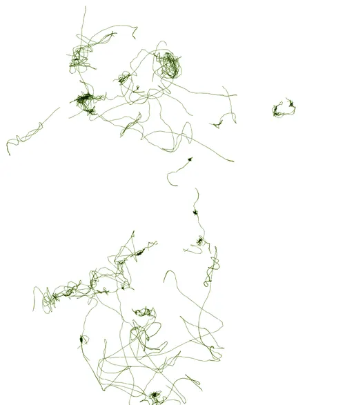 Item #61325321852403075905478544962925694605424995420085629148883383698412342870017 Media