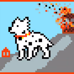 Digi Dog 3/50