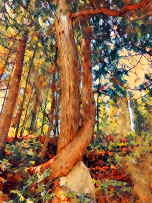 Item #47237781251135923353742950703176233702215495695736078562832556022486613884929 Media