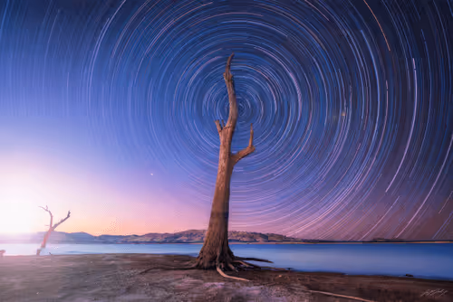 Item #5616953568499340907775711825497604278044637464082209410752742873645298221057 Media