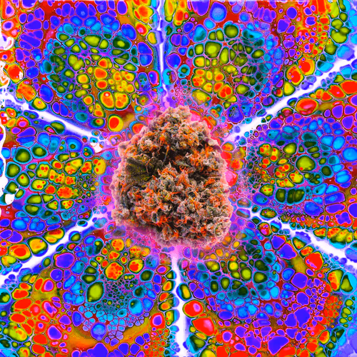 13955282856406335165414100891374623718709547313428947888299034031923113492580