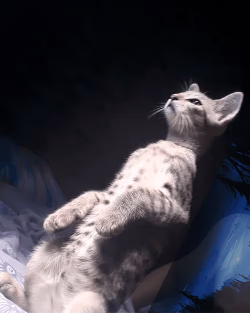 Item #4206968959528382267850550168117913088191590325513865346546053361553876451329 Media