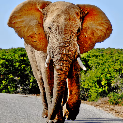 Item #24473209154447979220678348830340627404068712113787429026229454970525879107585 Media