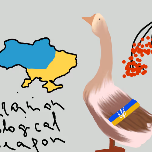 11504544857235207533873340498587459138317309624276358158142600997876738818049