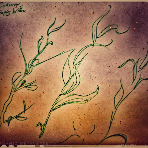 3787080761074609709675817509753112159059746763483256848434353822778710294529