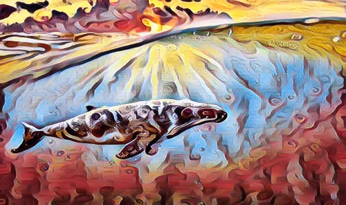 Item #13508095039876190545401276820051286684336130647733164687297862528213821947905 Media