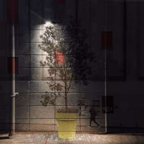 Item #59100591460969090848093152469102707440885830414673782650703488379635409879043 Media