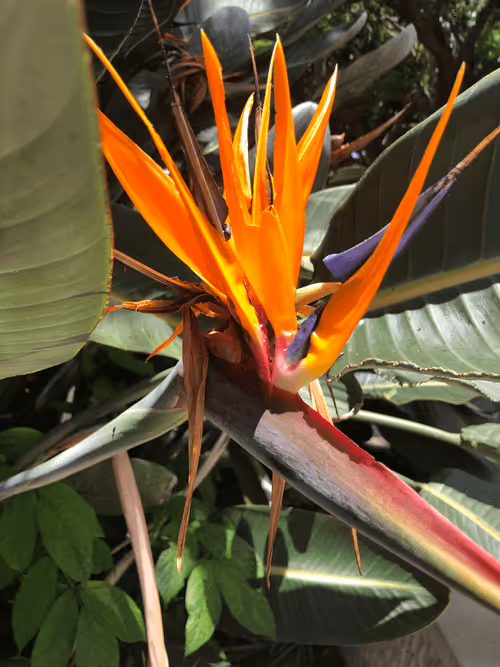 Item #56322661583650327241335368930056989154338103014947234537333187357633442480138 Media