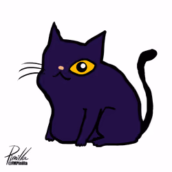 Cat puple 9