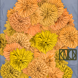 49560871776153200867828624829416347354613844027593284022244035119580610297857