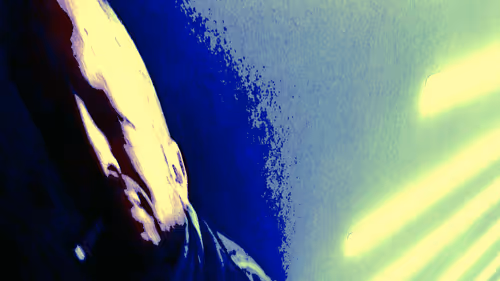 Untitled Collection #240465897