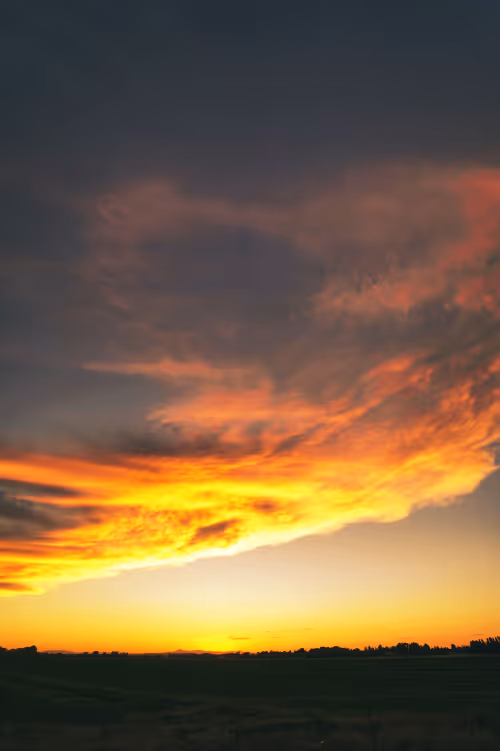 Item #37500018886324651166210288034401330052092481048438258584651800270305266499585 Media