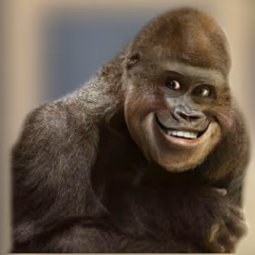 Item #13817371711797821647889149520952321964081029616667162362465248940375217799169 Media