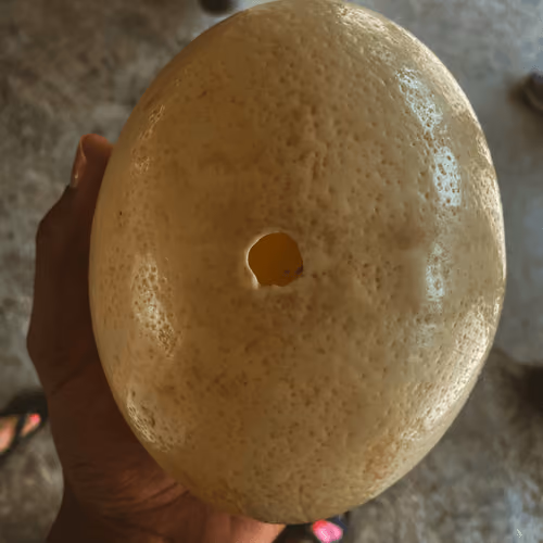 Aruba Ostrich Egg