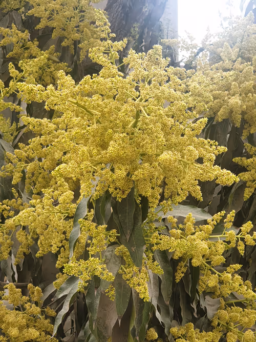 Item #95978401412835332122205705653308444161479658847898269659039166806632777646081 Media