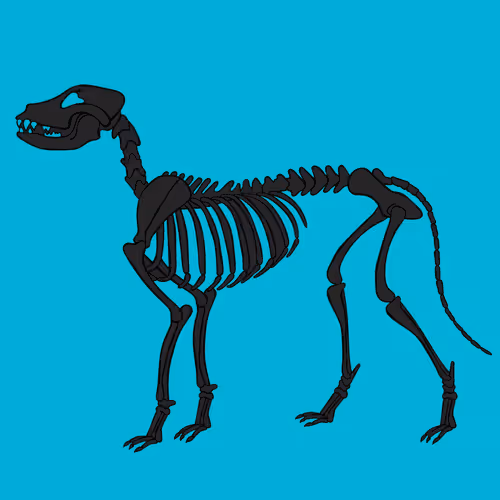 Item #66115251428437251400949335005857765940906863007353817121707627002252476022785 Media