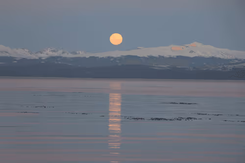 full moon #13