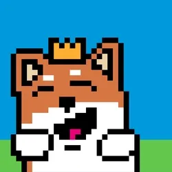 Happy King shib