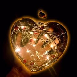 an ardent heart loves to secretly shine in the dark