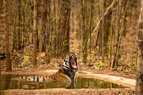 Item #97836812780509992357294122523585033403069799533494245490683884910340992925697 Media