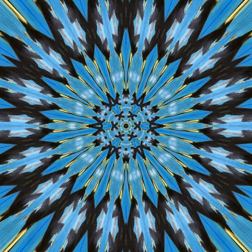 Item #112881076383788129306951985002951292499329158073037574705693288425114291929089 Media