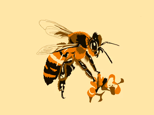 Item #86286569011672249143581902672238150923937334210812916089856769936064361005057 Media