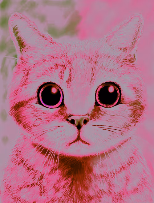 Item #56621992303262747893271366005093707345711101762340673219461019500359433846785 Media