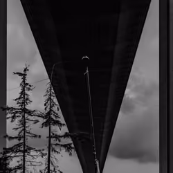 The Bridge