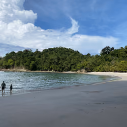 Pura Vida