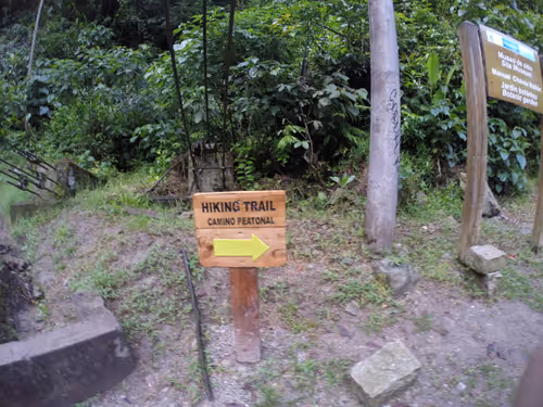 Untitled Collection #47787205