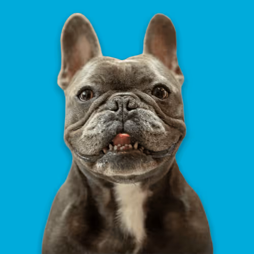 99031261785432219130552668818269695456905868997165113515571762262076626567169