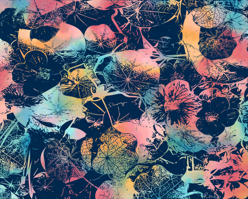 Item #100202135889345252302615875004271900597951028782367159480816017605216677396485 Media