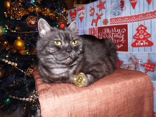 Item #2779209477793770894790632334692010306477060703574869009968800523736246648833 Media