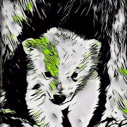 Polar Bear #11