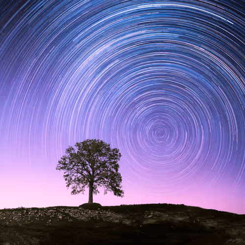 Item #5616953568499340907775711825497604278044637464082209410752742846157507526657 Media