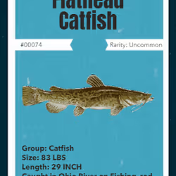 43502264269384842523243150070095810631836830099831581701628992023029688041473