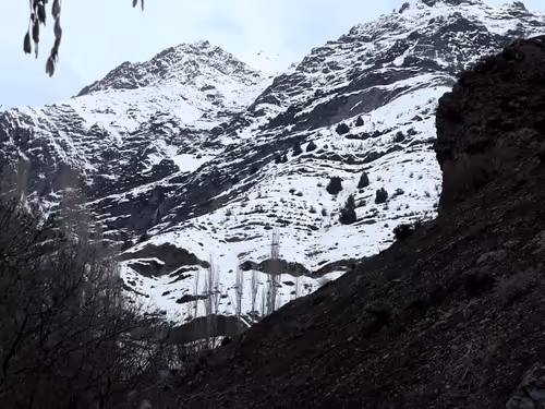 Item #32113585518735089884280564341914378894853705540135441781779048643733428895745 Media