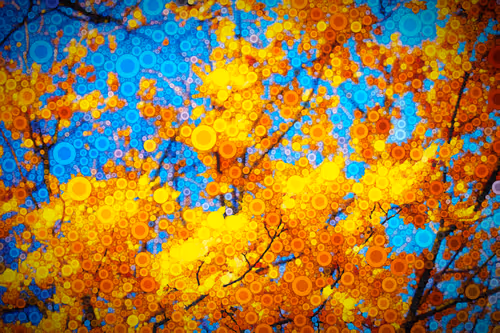 Item #106242044103436994368058381141327860501956406561781055170868881763412930985985 Media